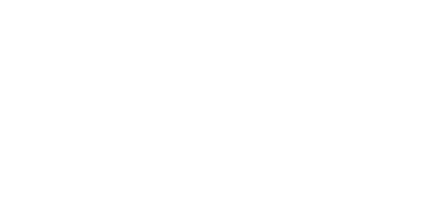 Lerner Law Professional Corporation